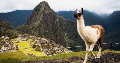 Perú instalará cámaras en Machu Picchu para protegerlo de turistas irrespetuosos