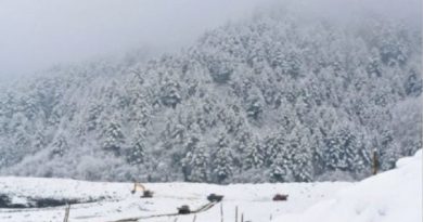 Intensas nevadas y avalanchas en Pakistán y Afganistán dejan más de 120 fallecidos