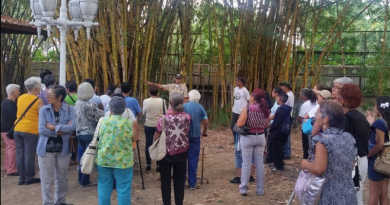 Palmeros de Chacao realizaron reconocimiento de especies botánicas en Casona Cultural Aquiles Nazoa