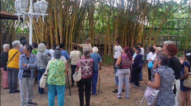 Palmeros de Chacao realizaron reconocimiento de especies botánicas en Casona Cultural Aquiles Nazoa