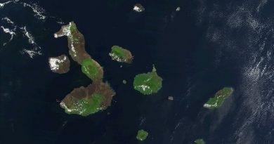 Plan de limpieza de cinco islas de Galápagos retira más de 8 toneladas de basura