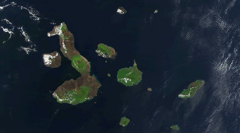 Plan de limpieza de cinco islas de Galápagos retira más de 8 toneladas de basura