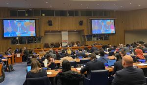 El ministro Ildemaro Villarroel en el 58° Período de Sesiones de la Comisión de Desarrollo Social de la ONU en Nueva York