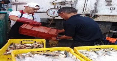 MinPesca distribuyó más de 220 mil kilos de pescado en apenas 9 días de febrero