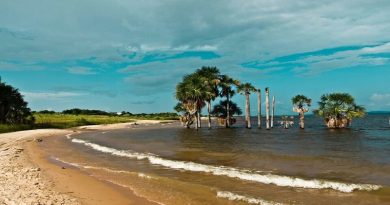 Abrirán parques y playas en carnavales con medidas de bioseguridad