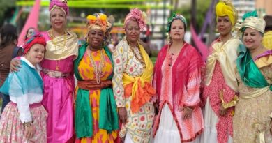 Caracas se llenará de colores con desfiles en Carnavales Felices Caribe 2020