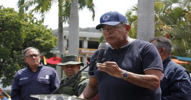 La Guaira fue el primer estado receptor de temporadistas en Carnavales 2020