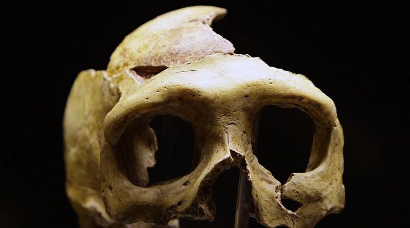 Encuentran genes de una población "fantasma" en el ADN moderno
