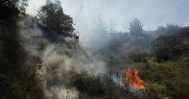 En Chile cancelan alerta amarilla por incendios forestales