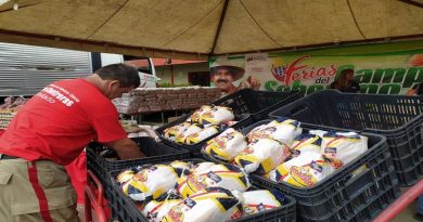 Feria del Campo Soberano atendió a más de mil familias en El junquito
