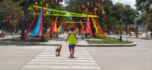 Misión Venezuela Bella rehabilitó paseo La Nacionalidad