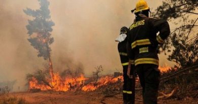 Declaran alerta roja por incendios forestales en Chile