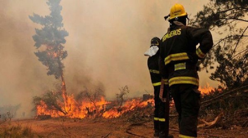 Declaran alerta roja por incendios forestales en Chile