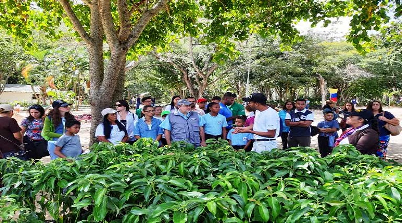 Defensoría del Pueblo realizó jornada de reforestación por Día Mundial de Educación Ambiental