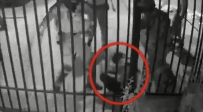 INDH de Chile presenta penas ejemplificadoras contra Carabineros por tortura