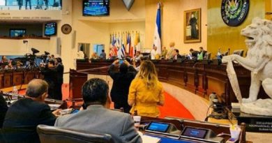 La formación de izquierda respaldó la decisión tomada por la Asamblea Legislativa de declarar improcedente una convocatoria del Consejo de Ministros.