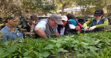 Defensoría del Pueblo realizó jornada de reforestación por Día Mundial de Educación Ambiental