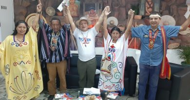 Conformada dirección política territorial de movimiento indígena en Miranda