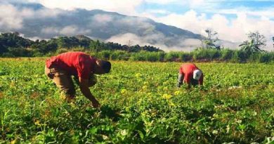 Federación Campesina de Venezuela propone reforma de leyes para fomentar la economía productiva