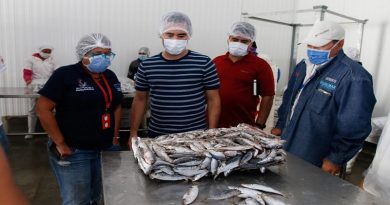 Garantizan distribución de proteínas pesquera durante cuarentena social a través de los Clap