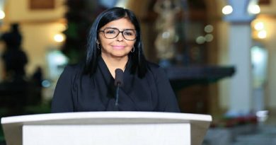 Delegaciones diplomáticas de Indonesia, Siria, Sudáfrica y Palestina consolidan cooperación con Venezuela