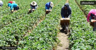 Gobierno Nacional ratifica el apoyo a hombres y mujeres del campo en su día
