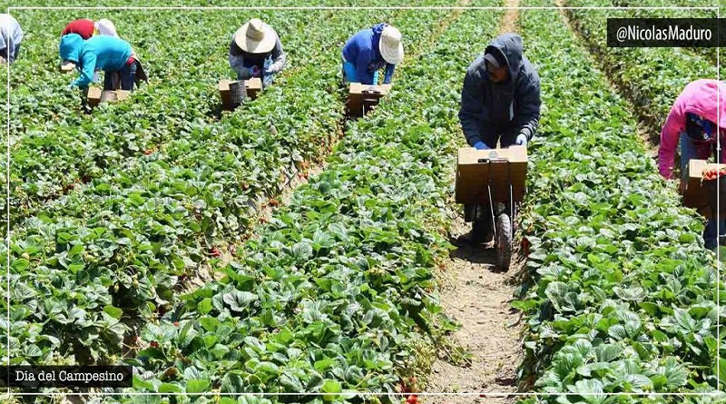 Gobierno Nacional ratifica el apoyo a hombres y mujeres del campo en su día