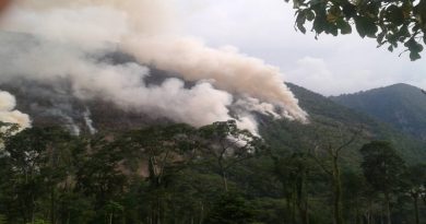Mas de 100 incendios forestales han sido combatidos en el estado Trujillo