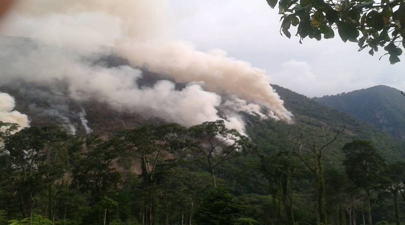 Mas de 100 incendios forestales han sido combatidos en el estado Trujillo