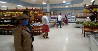 Minppal trabaja con pequeños, medianos y grandes productores del sector agroalimentario