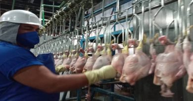 Ministro para el Trabajo verificó líneas de producción de beneficiadora de pollo en Miranda