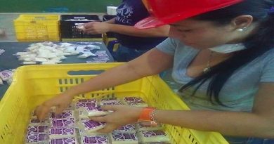 Más de 10 mil litros de soluciones antibacteriales produce Fabrica Mastranto de la Alcaldía de Caracas