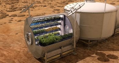 Las lechugas cultivadas en órbita son tan saludables como las terrestres
