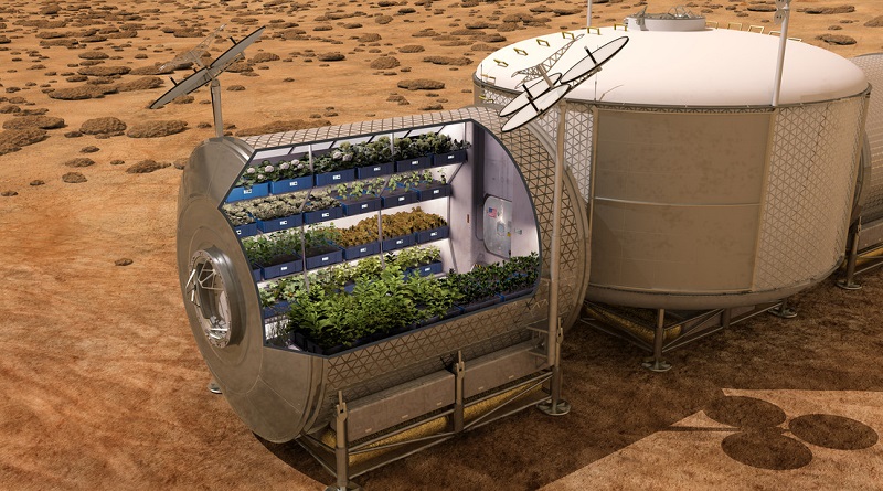 Las lechugas cultivadas en órbita son tan saludables como las terrestres
