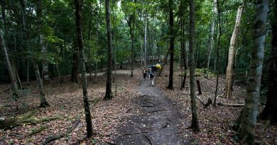 Exploran con tecnología láser autopista maya de 100 kilómetros y descubren tesoros ocultos