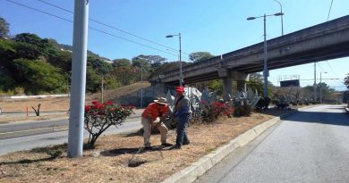 Restitución de alumbrado y limpieza total de vía exclusiva realizó Trolebús Mérida