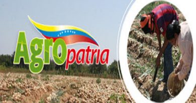 Agropatria y empresas filiales continúan produciendo pese a bloqueos de EE.UU