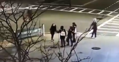 CRÍMENES DE ODIO EN EE.UU. | Golpean y muerden a una madre con su hija por hablar español en Boston