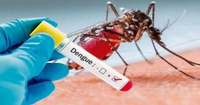 Confirman caso de dengue autóctono en Uruguay