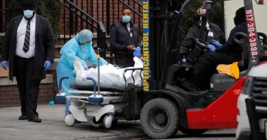 EE.UU. | “Fosas comunes temporales” en parques públicos de Nueva York anuncian para enterrar muertos por coronavirus