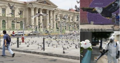 Un total de 130.196 casos de Covid-19 han sido registrados en América Latina y el Caribe