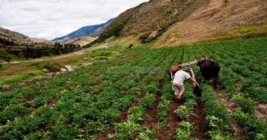 Gobierno garantiza suministro de combustible a agricultores de Mérida en cuarentena por Covid-19