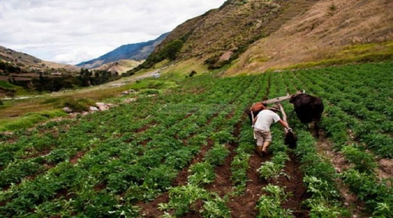 Gobierno garantiza suministro de combustible a agricultores de Mérida en cuarentena por Covid-19