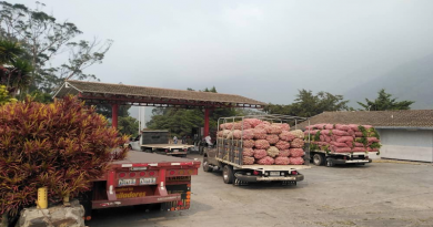 Plan de Combustible garantiza distribución de 500 toneladas de alimentos en Mérida