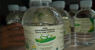 En Falcón producen gel antibacterial a base de Aloe Vera para distribuirlo a través de los CLAP