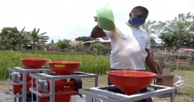 En 294 patios productivos se cosecha arroz en nivel primario para garantizar alimentación de comunidades en Yaracuy