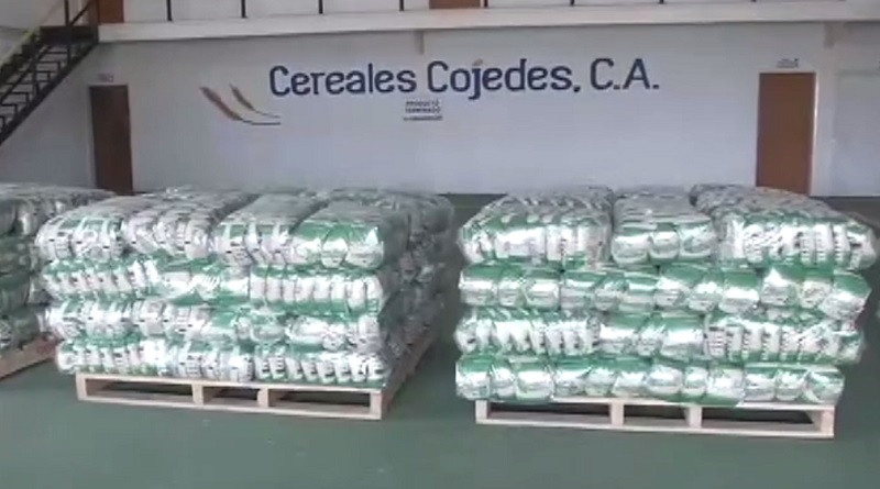 Plan de Siembra Norte Verano garantizará más de 4 mil 500 hectáreas de Arroz para el impulso productivo en Cojedes
