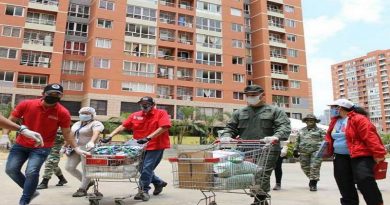 Distribución de alimentos casa por casa beneficia a más de 132 mil familias en una semana