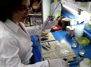 Palmira Guevara Trejo es Dra. en Biología Celular, del Consejo Científico Presidencial que acompaña a la Comisión Contra el Coronavirus. Tiene posdoctorado en EE. UU.