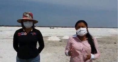 Recolección de sal contribuye a la soberanía alimentaria del país